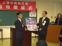 掮