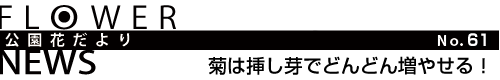 xSjA̎̍̂I
