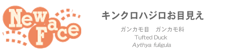 j[tF[X