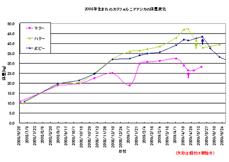 グラフ