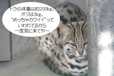 xK}lR