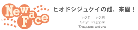 j[tF[X