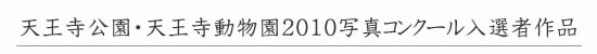 VEV2010ʐ^RN[̓I