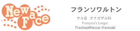 j[tF[X