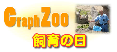 ̓