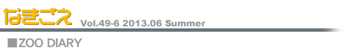 Zoo Diary
