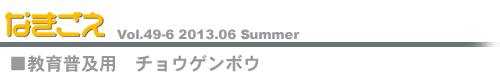 教育普及用　チョウゲンボウ