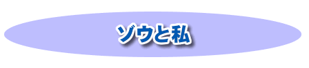 ゾウと私