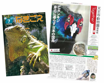 「なきごえ」、「Together」