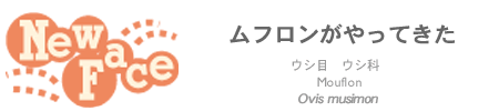 j[tF[X