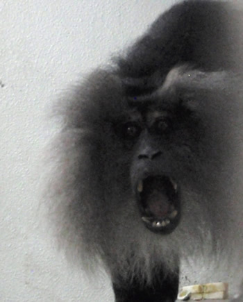 �V�V�I�U���F�����J���ĉ�������Ȃ���Њd���Ă��܂�