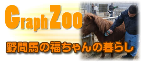 Ԕn̕̕炵