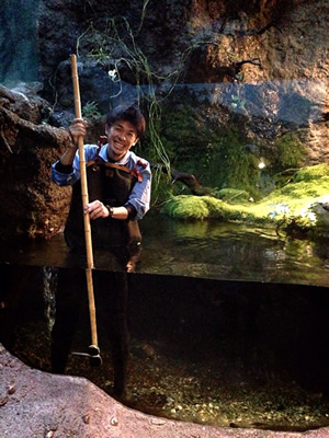 日本の自然の水槽清掃