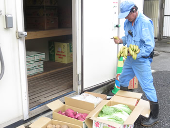 納品された野菜や果物を検品する筆者