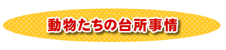 サル舎の仲間　～フサオマキザル～