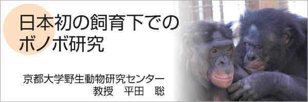 日本初の飼育下でのボノボ研究