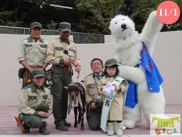11月1日に天王寺動物園の新しいユニフォームがお披露目されました。